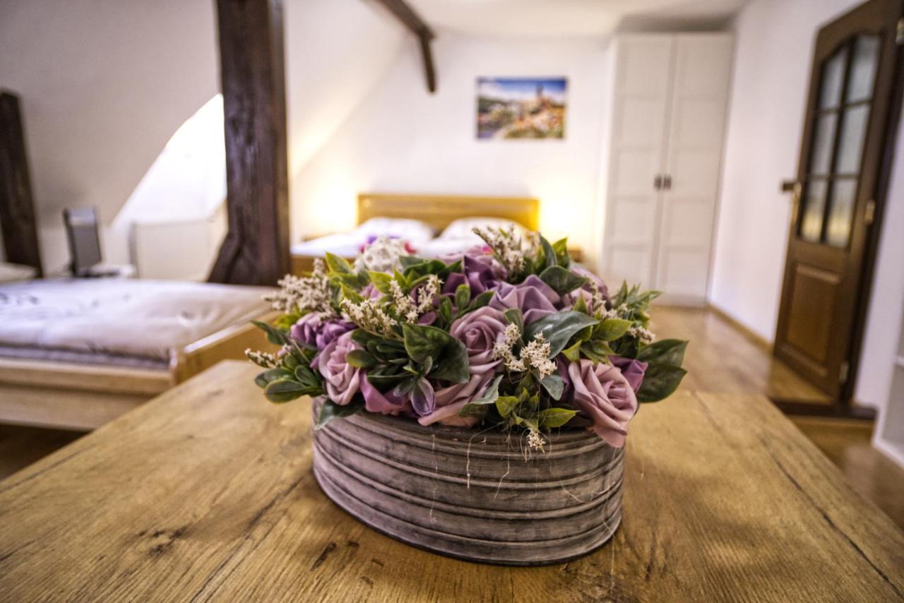 Pension Rosa Český Krumlov Dış mekan fotoğraf